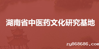 湖南省中医药文化研究基地